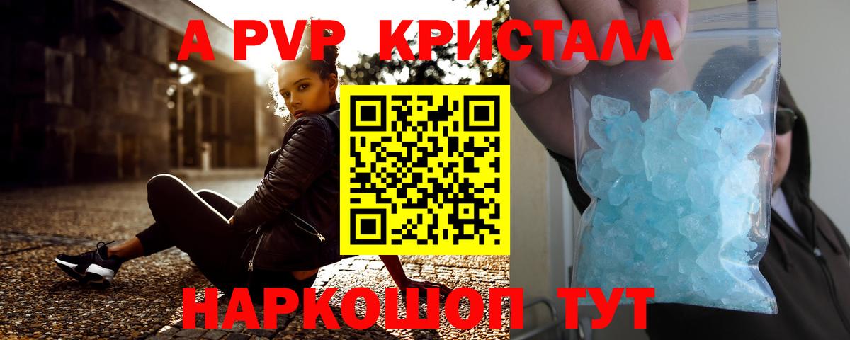 A PVP СК КРИС Ишим