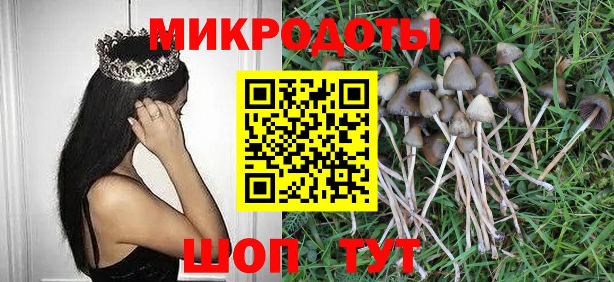Галлюциногенные грибы Cubensis  Галлюциногенные грибы GOLDEN TEACHER  Ишим  Вход с VPN 